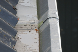 actueel-jan-oldhof-2